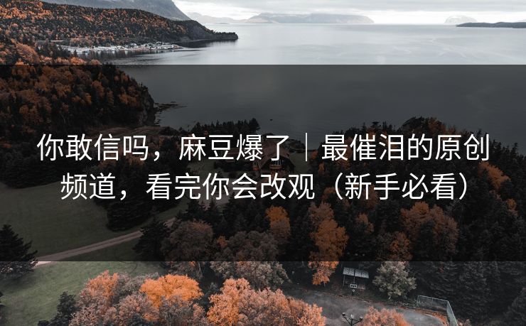 你敢信吗，麻豆爆了｜最催泪的原创频道，看完你会改观（新手必看）