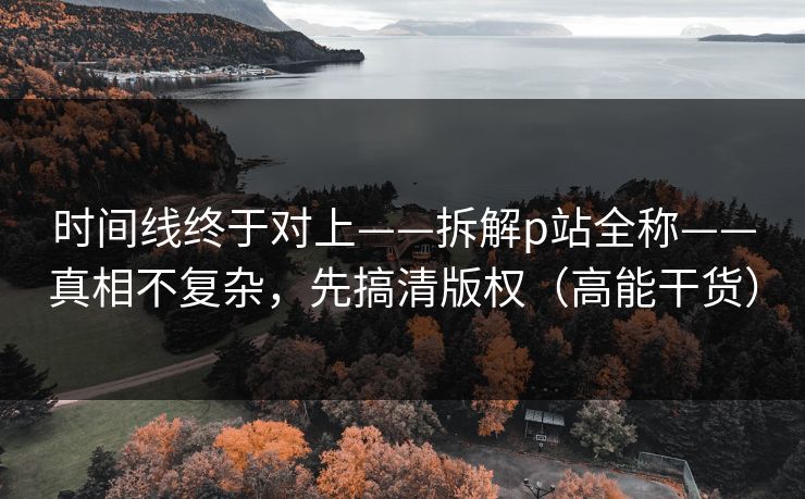 时间线终于对上——拆解p站全称——真相不复杂，先搞清版权（高能干货）