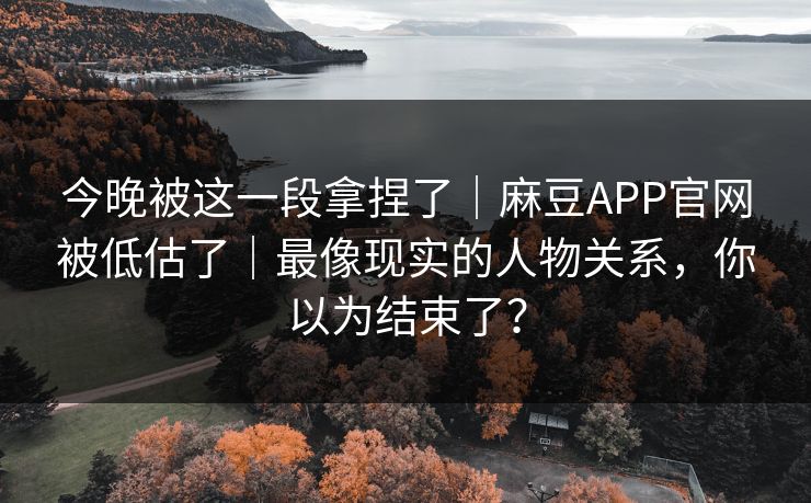 今晚被这一段拿捏了｜麻豆APP官网被低估了｜最像现实的人物关系，你以为结束了？