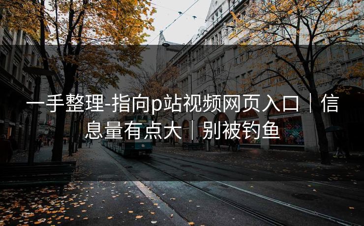 一手整理-指向p站视频网页入口｜信息量有点大｜别被钓鱼