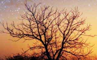 不看会吃亏——蘑菇影视-如何收藏片单？建议先收藏（隐藏彩蛋）