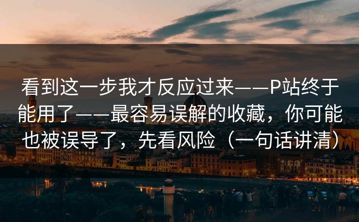 看到这一步我才反应过来——P站终于能用了——最容易误解的收藏，你可能也被误导了，先看风险（一句话讲清）