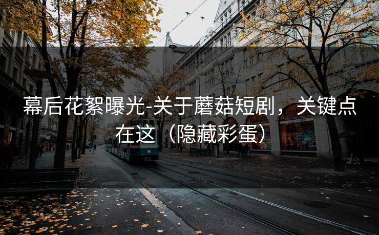 幕后花絮曝光-关于蘑菇短剧，关键点在这（隐藏彩蛋）