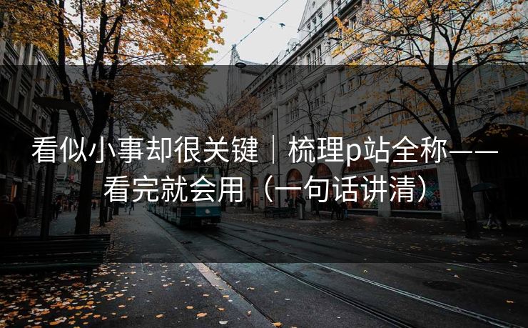 看似小事却很关键|梳理p站全称——看完就会用(一句话讲清) 看似小事却很关键|梳理p站全称——看完就会用(一句话讲清)