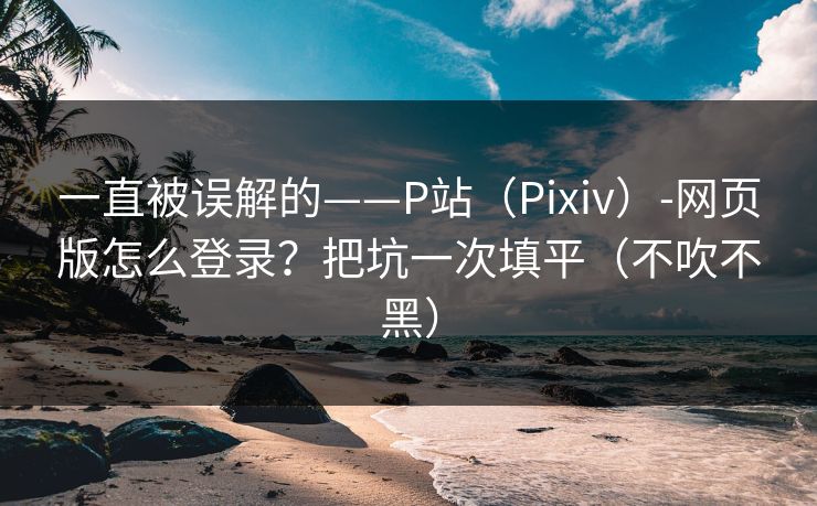 一直被误解的——P站（Pixiv）-网页版怎么登录？把坑一次填平（不吹不黑）