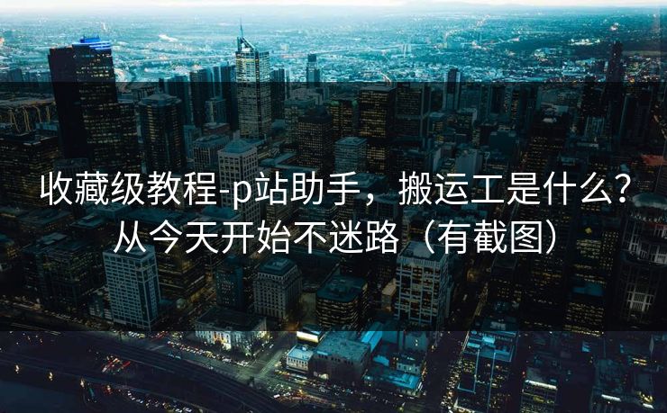 收藏级教程-p站助手，搬运工是什么？从今天开始不迷路（有截图）