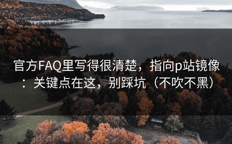 官方FAQ里写得很清楚，指向p站镜像：关键点在这，别踩坑（不吹不黑）