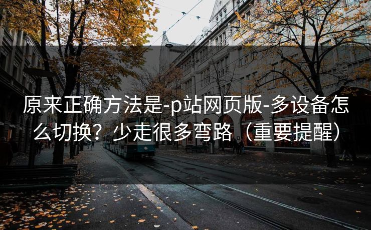 原来正确方法是-p站网页版-多设备怎么切换？少走很多弯路（重要提醒）