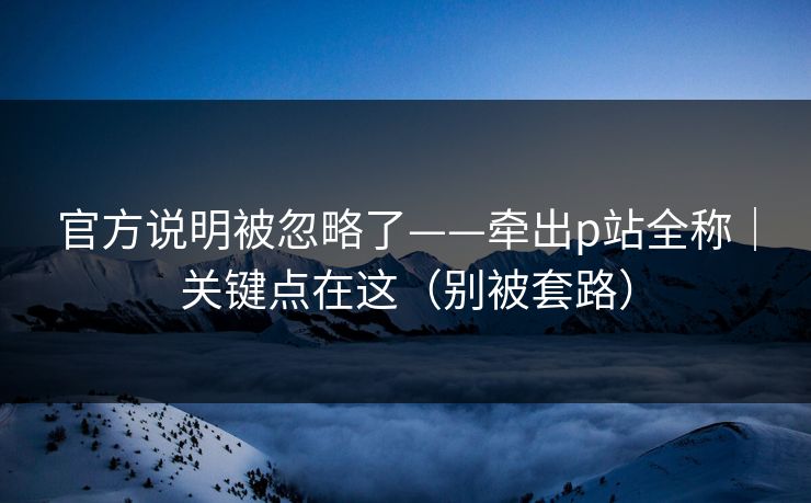 官方说明被忽略了——牵出p站全称｜关键点在这（别被套路）